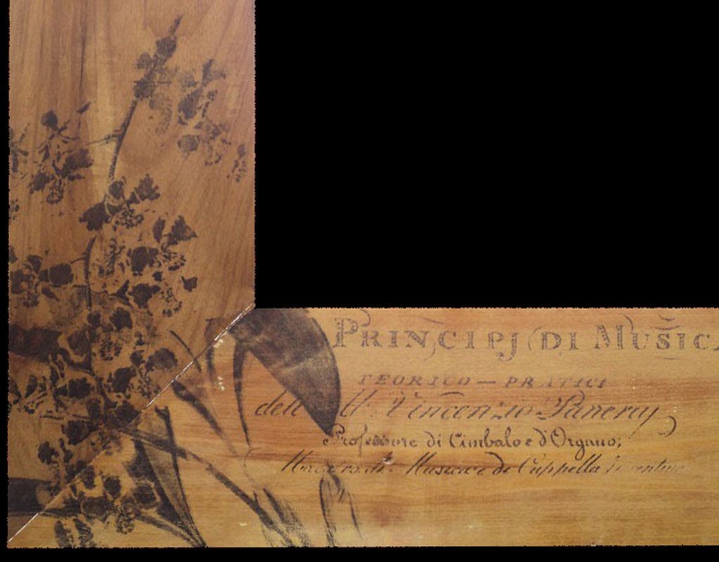 Moldura "Orquídeas"